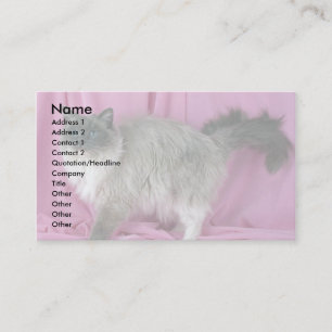 Tarjeta De Visita Ragdoll, de color azul