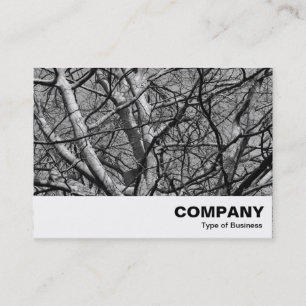 Tarjeta De Visita Ramas de invierno iluminadas con luz solar (B&W)