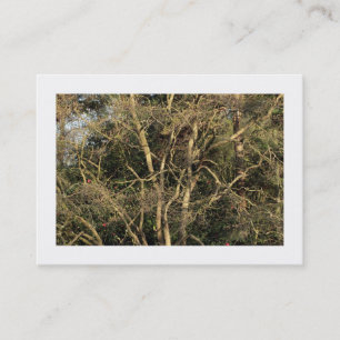 Tarjeta De Visita Ramas de oro (bordadas)