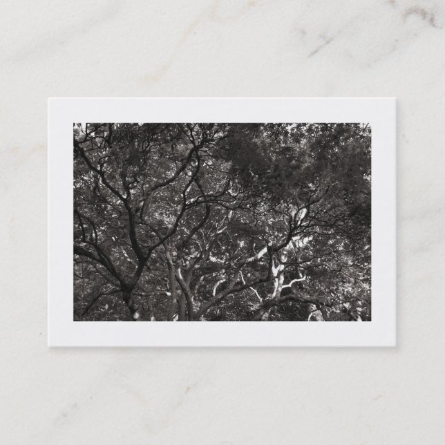 Tarjeta De Visita Ramas japonesas 01 (bordadas) (Anverso)