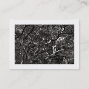 Tarjeta De Visita Ramas japonesas 03 (bordadas)