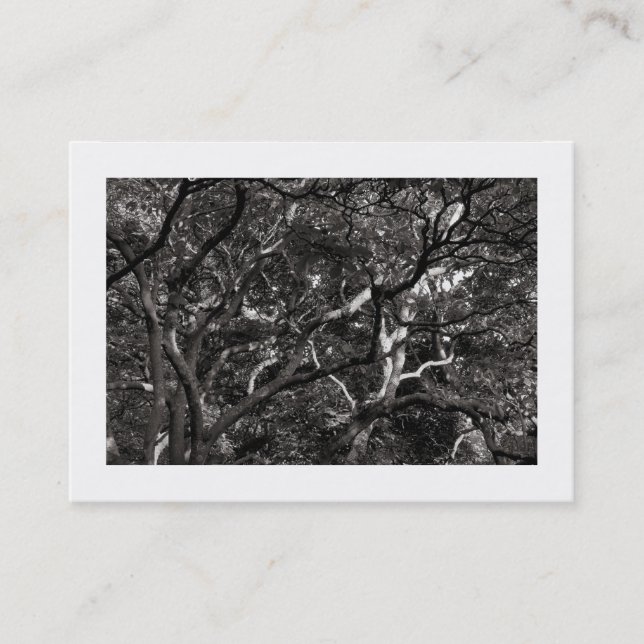 Tarjeta De Visita Ramas japonesas 03 (bordadas) (Anverso)