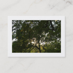 Tarjeta De Visita Ramas japonesas 04 (bordadas)