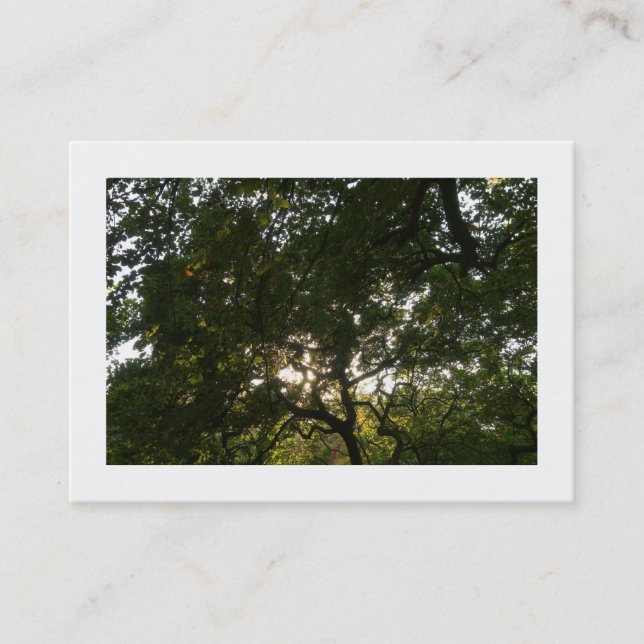 Tarjeta De Visita Ramas japonesas 04 (bordadas) (Anverso)