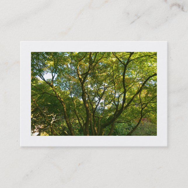 Tarjeta De Visita Ramas japonesas 06 (bordadas) (Anverso)