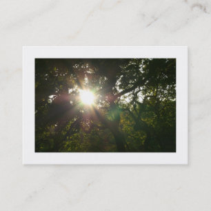 Tarjeta De Visita Ramas japonesas 07 (bordadas)