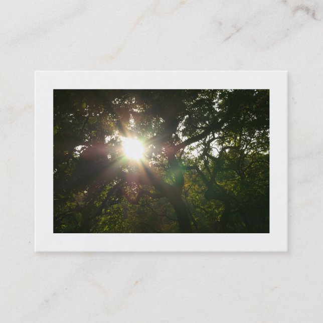 Tarjeta De Visita Ramas japonesas 07 (bordadas) (Anverso)