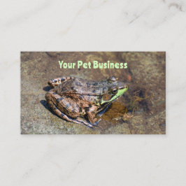 Tarjeta De Visita Rana Cuta Sobre Rocas En Agua