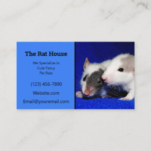 Tarjeta De Visita Ratón de batidor de rata azul
