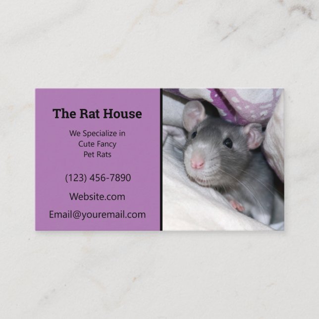 Tarjeta De Visita Ratón de batidor de rata de lavanda (Anverso)