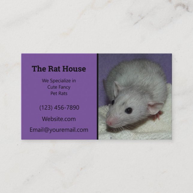 Tarjeta De Visita Ratón Rat Breeder Purple Dumbo (Anverso)