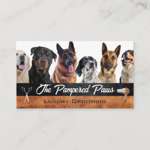 Tarjeta De Visita Razas de perro   Herramientas de crecimiento de Ma