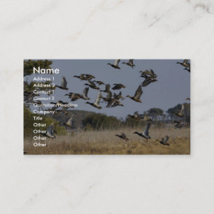 Tarjeta De Visita Rebaño de aves acuáticas vuelan desde el pantano