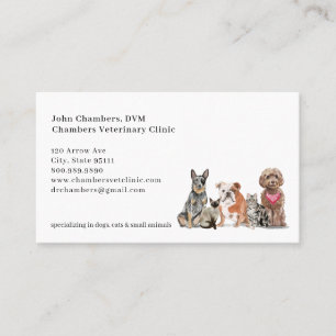 Tarjeta De Visita Recordatorio de asuntos y nombramientos de veterin