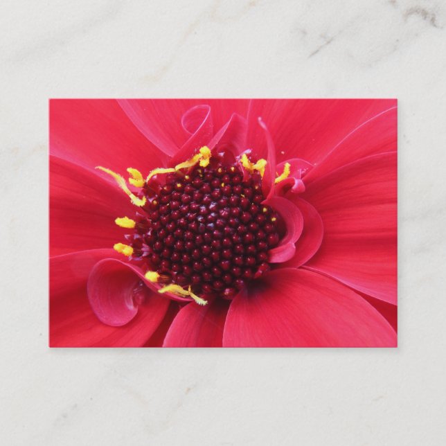 Tarjeta De Visita Red Dahlia Close-up (Anverso)