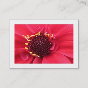 Tarjeta De Visita Red Dahlia Close-up (Bordeado)