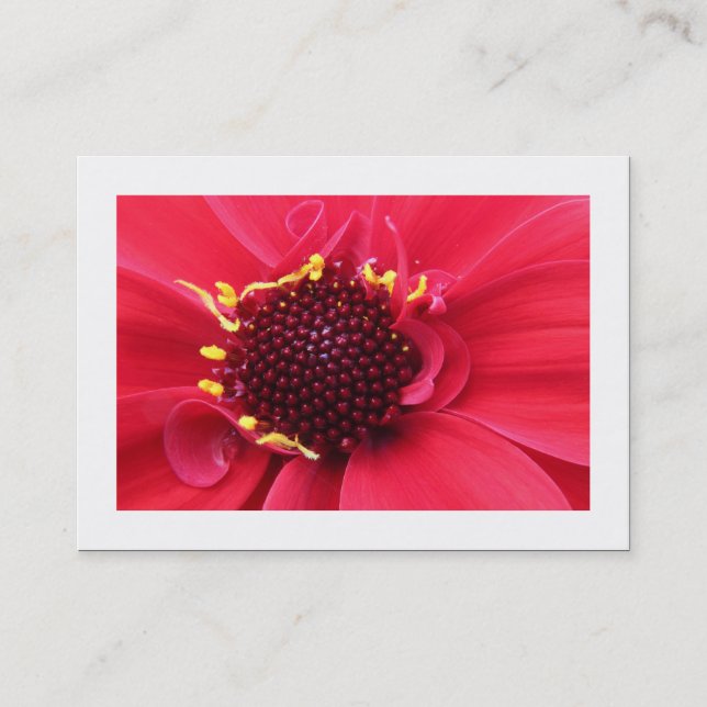 Tarjeta De Visita Red Dahlia Close-up (Bordeado) (Anverso)