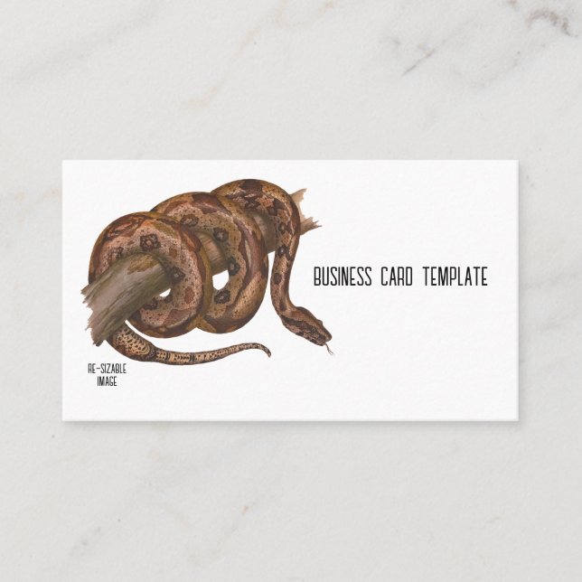 Tarjeta de visita Reptiles Boa Constrictor Snack (Anverso)