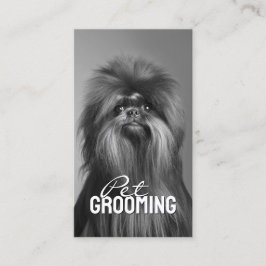 Tarjeta De Visita Retrato de Affenpinscher de mascota Grooming Salon