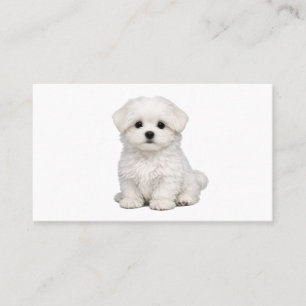 Tarjeta De Visita Retrato de cachorro maltés blanco esponjoso Amante