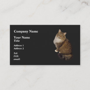 Tarjeta De Visita Retrato de gato Maine Coon