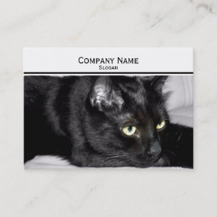 Tarjeta De Visita Retrato de gato negro lindo