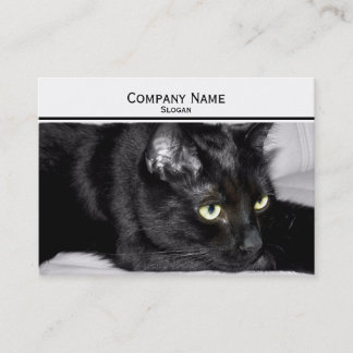 Tarjeta De Visita Retrato de gato negro lindo