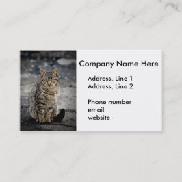 Tarjeta De Visita Retrato de un gato