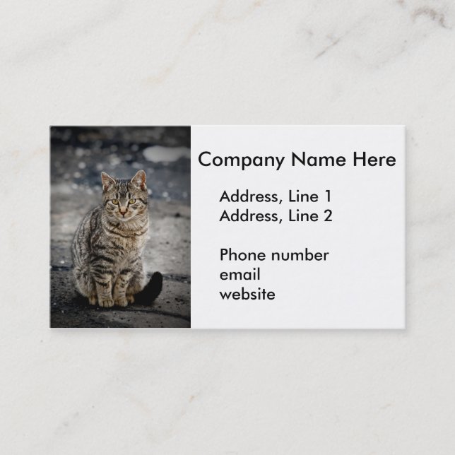Tarjeta De Visita Retrato de un gato (Anverso)