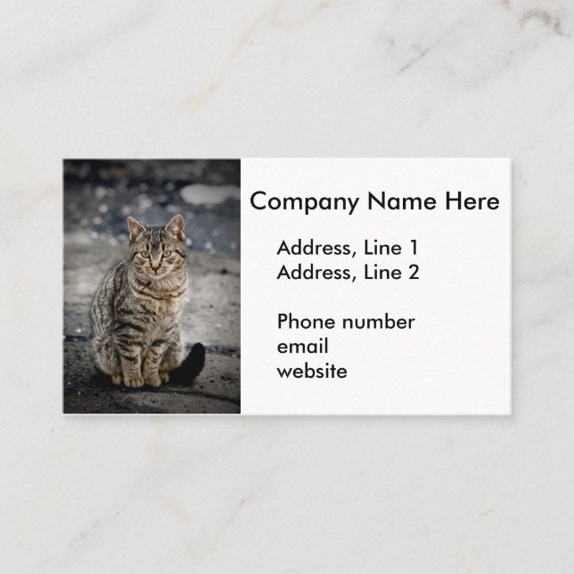 Tarjeta De Visita Retrato de un gato (Anverso)