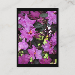 Tarjeta De Visita Rhododendron ATC