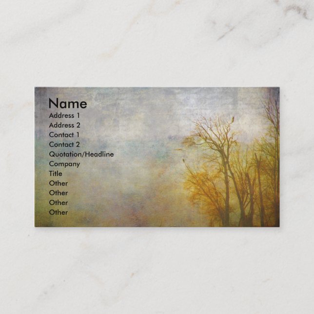 Tarjeta De Visita Río Misisipi (Anverso)