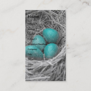 Tarjeta De Visita Robin Eggs Grunge