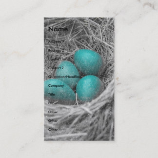 Tarjeta De Visita Robin Eggs Grunge