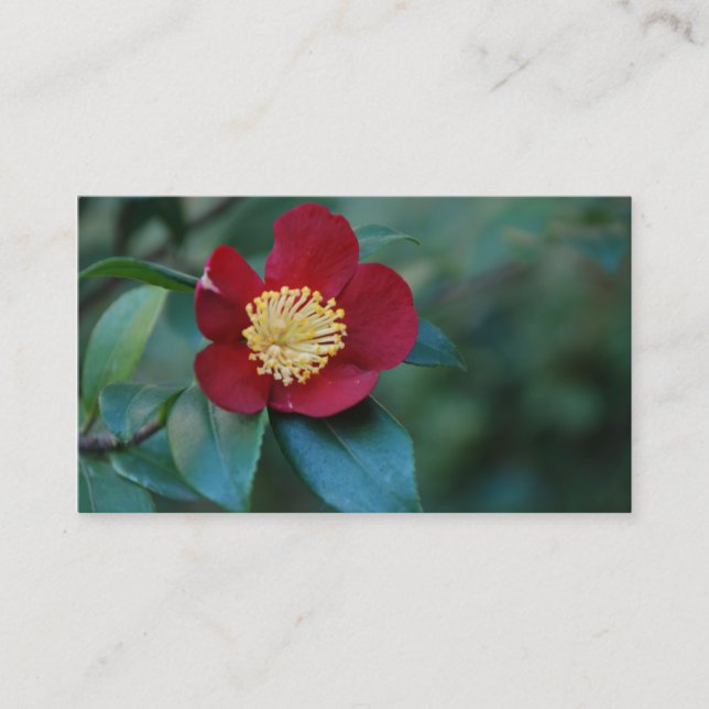 Tarjeta de visita roja de la flor (Anverso)