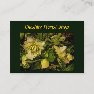 Tarjeta De Visita Rosa de Cuaresma Hellebore Florist