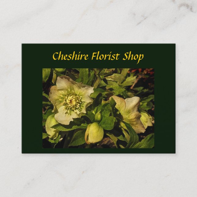 Tarjeta De Visita Rosa de Cuaresma Hellebore Florist (Anverso)