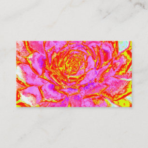 Tarjeta De Visita Rosa intenso, rojo y amarillo suculento Sedum Rose
