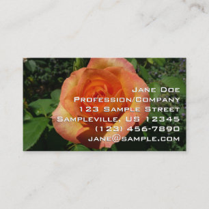 Tarjeta De Visita Rosa Melocotón