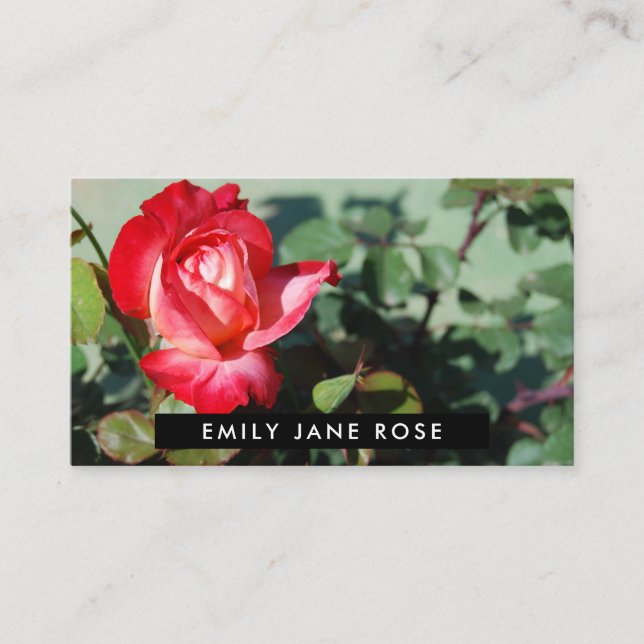 Tarjeta De Visita Rosa Roja, Floristry (Anverso)