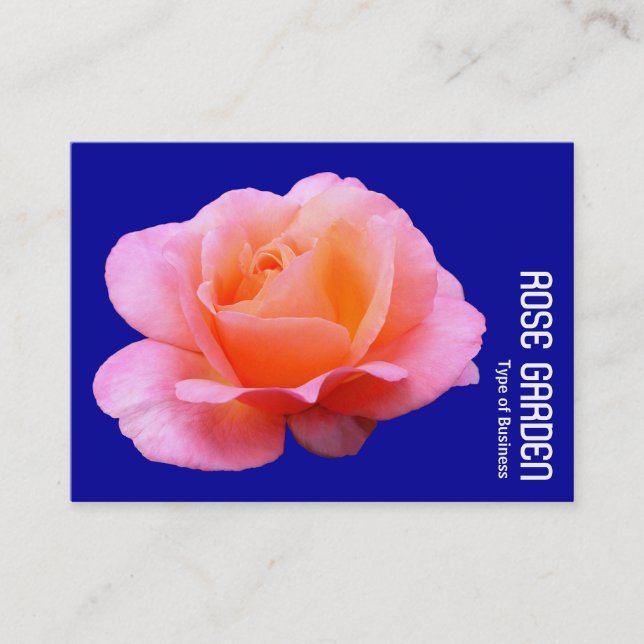 Tarjeta De Visita Rosa rosa (azul profundo) (Anverso)