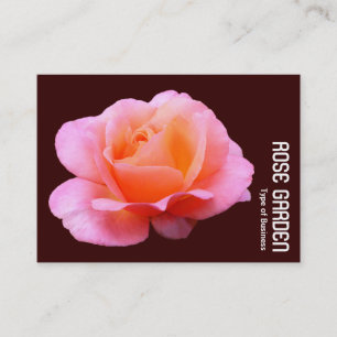 Tarjeta De Visita Rosa rosa (chocolate oscuro)