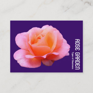 Tarjeta De Visita Rosa rosa (púrpura profundo)