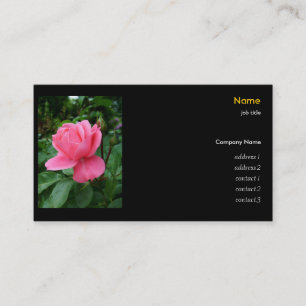 Tarjeta De Visita rosa rosa rosa rosa