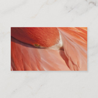 Tarjeta de visita rosada del primer del flamenco