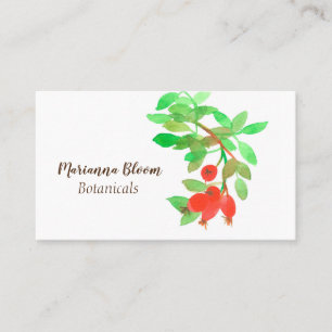 Tarjeta De Visita Rosas de Rosehips Herb Planta Botánica Rojo