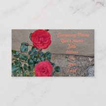 rosas rojas "dos rosas" flores florales pétalos ro