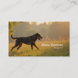 Tarjeta De Visita Rotweiller Dog