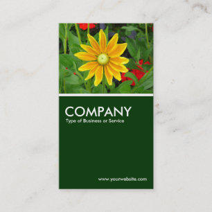Tarjeta De Visita Rudbeckia de Sun de la pradera