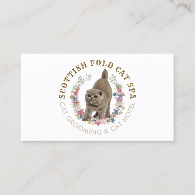 Tarjeta De Visita Salon Grooming Mascota Spa Escocia Fold Cat (Anverso)